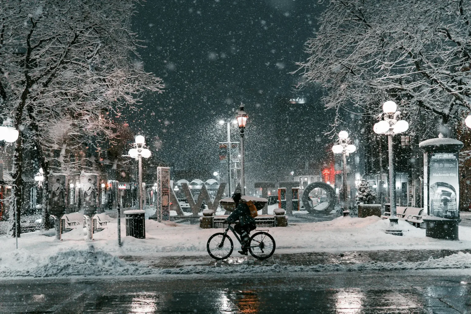 A cyclist rides through a heavy snowfall at night on a city street lined with snow-covered trees and illuminated lampposts.